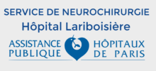 LOGO-NEUROLARIB LOGO-NEUROLARIB