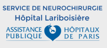 LOGO-NEUROLARIB