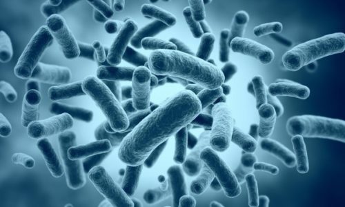 depositphotos_34894429-stock-photo-bacteria-cells-medical-illustration depositphotos_34894429-stock-photo-bacteria-cells-medical-illustration